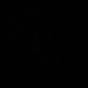 Meet your Posher, Ashly